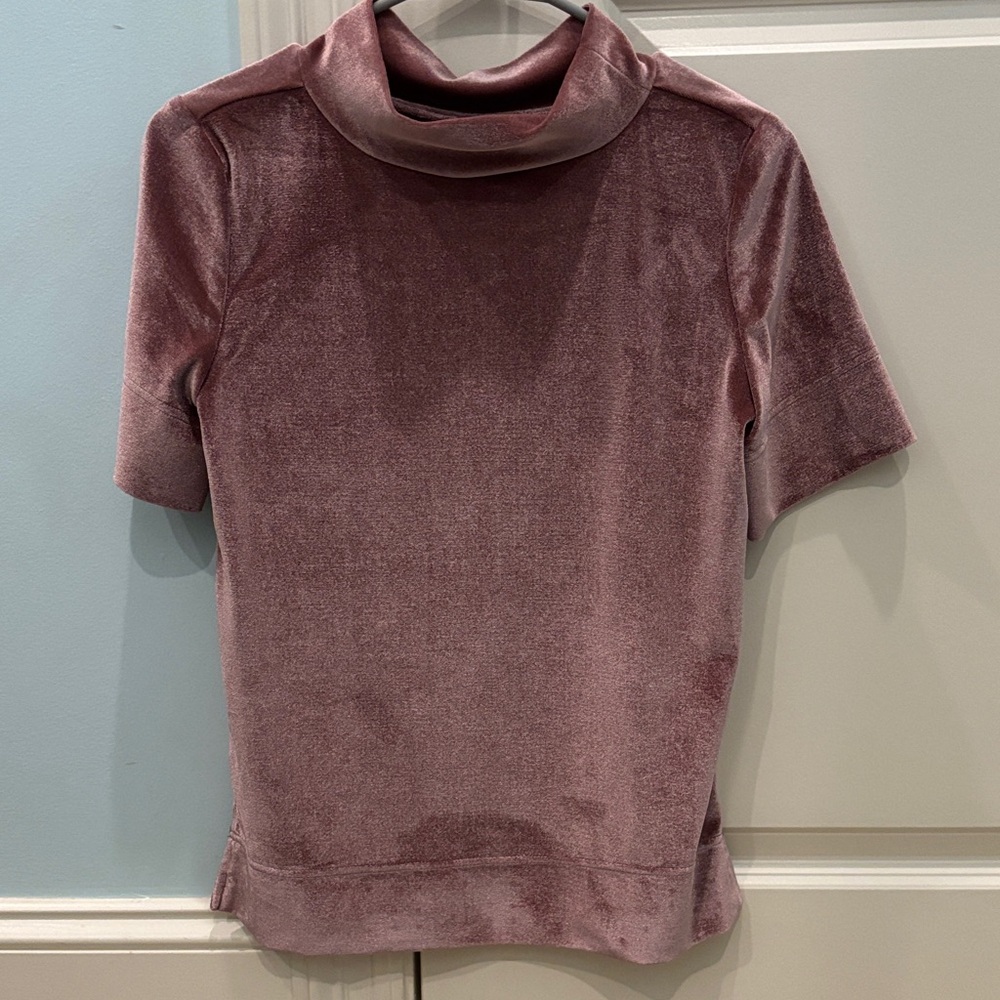 Anthropologie Velvet Short Sleeve Top in Dusty Rose